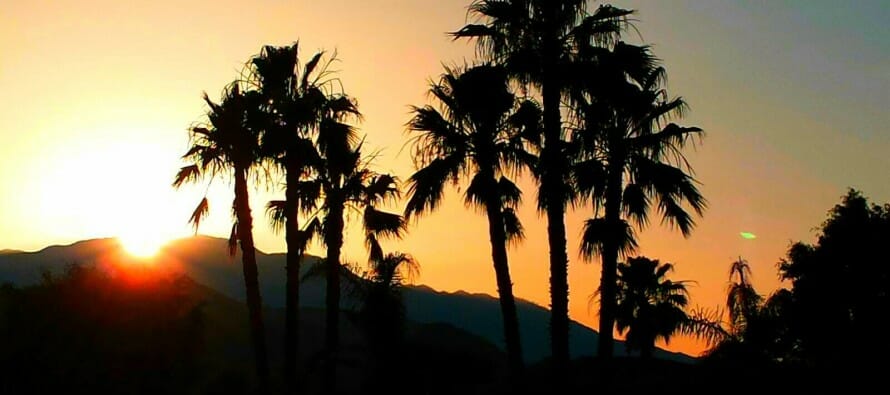 Photo of the Day by CoachellaValley.com