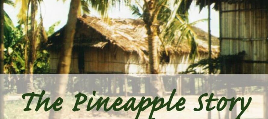The Pineapple Story