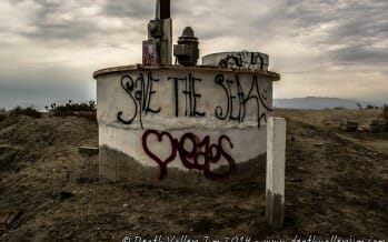 Something stinks…it’s The Salton Sea