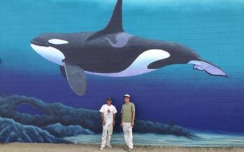 Desert Hot Springs Orca Wall Dedication and Beach Party