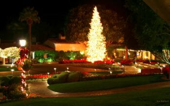 Coachella Valley and the Greater Palm Springs Area Guide to Christmas Tree Lighting’s