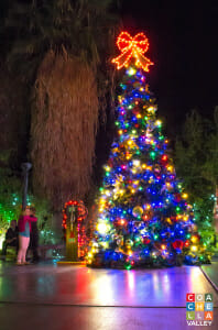 The Living Desert Christmas Tree