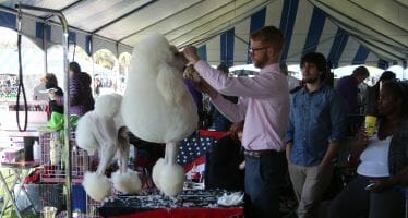 The Kennel Club of Palm Springs hosts one of the 5 largest AKC Licensed all breed dog shows