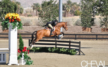 HITS Horse Show in Thermal