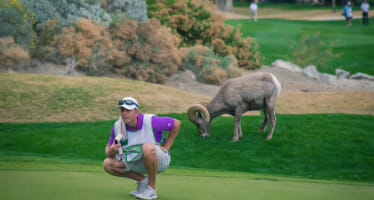 Notable Quotes from Coachella Valley’s Humana Challenge