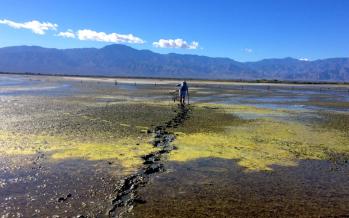 The Salton Sea Walker – man will attempt to be first ever to walk the 116 miles shoreline in just 6 days this summer