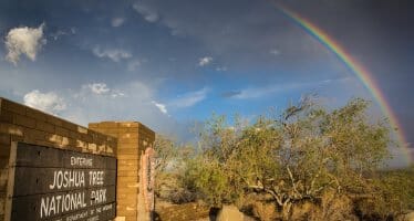 Michelle Caitlyn capturing a perfect Joshua Tree Rainbow