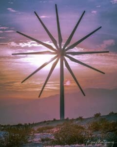 Coachella Valley Photo of the Day! Windmill Flower - by Ryan Montgomery