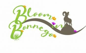 Bloom in Borrego at Borrego Days