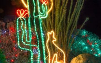 WildLights at The Living Desert – Over one million twinkling lights, dazzling displays, live music, festive games and activities