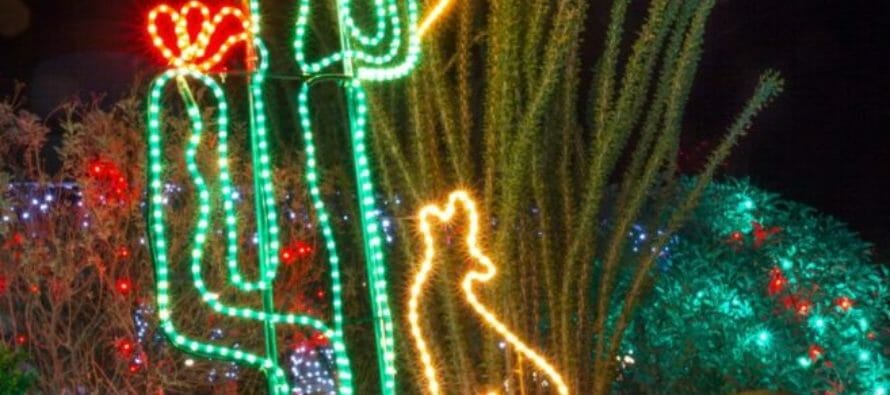 WildLights at The Living Desert – Over one million twinkling lights, dazzling displays, live music, festive games and activities