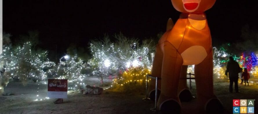 WILDLIGHTS AT THE LIVING DESERT TO SPARKLE NIGHTLY STARTING WEDNESDAY DECEMBER 19TH