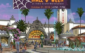 Watch the 2nd Annual Mall-O-Ween’s Grand Success – Video