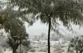 It’s snowing in Yucca Valley! 🎥, Thanksgiving Day!