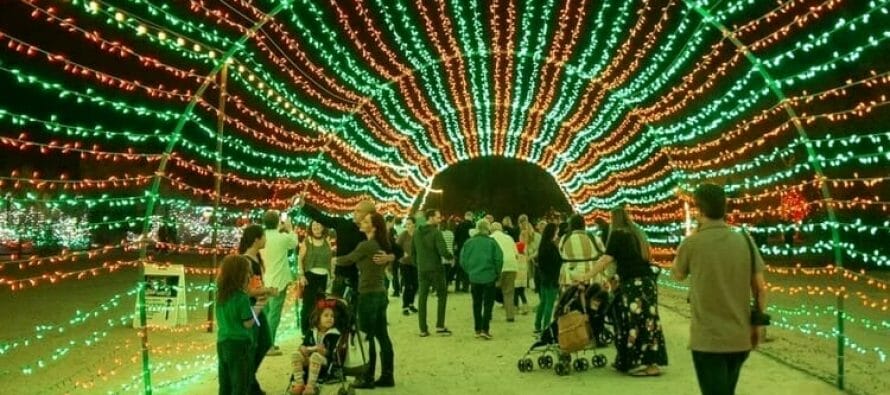 Wildlights in it’s 27th year – Everything you need to know Living Desert Zoo FAQs