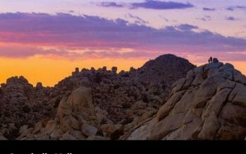 Joshua Tree National Park Reopens To Visitors