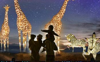 The Living Desert Zoo & Gardens remains open, wildlights, hiking trails accessible, gift shop remains open inside.