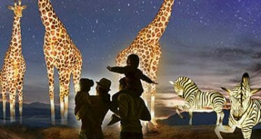 Tickets for The Living Desert Zoo and Garden’s WildLights are now on sale!