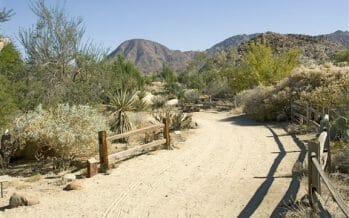 The Living Desert Zoo and Gardens Reopens as an “outdoor recreation facility”