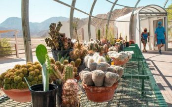 The Living Desert Zoo and Gardens Opens New Desert Plant Conservation Center
