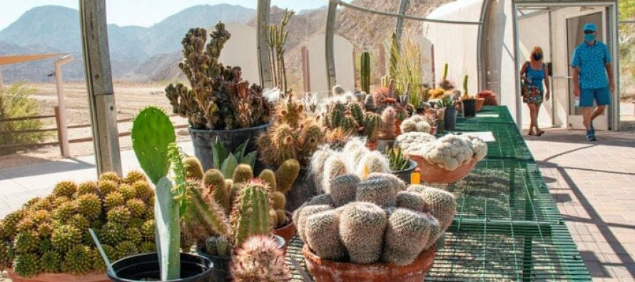 The Living Desert Zoo and Gardens Opens New Desert Plant Conservation Center