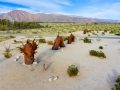 Borrego Springs and the Galleta Meadows is a Perfect Day Trip from the Coachella Valley