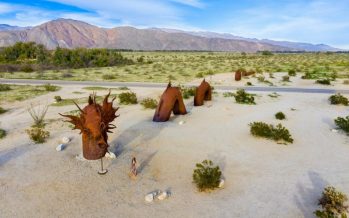 Borrego Springs and the Galleta Meadows is a Perfect Day Trip from the Coachella Valley