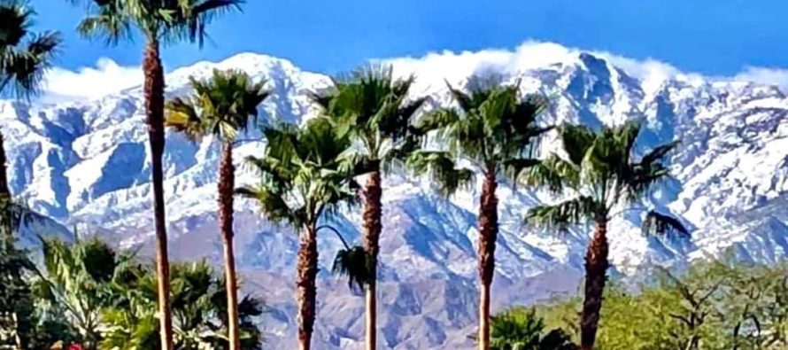 Palm Springs Tramway Snow Contest