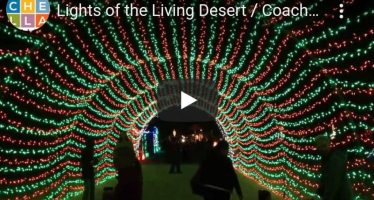 Holiday ‘WildLights’ 2021: Living Desert Zoo & Gardens