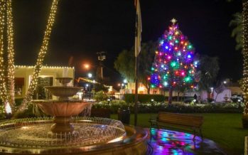 Coachella Christmas Tree Lighting