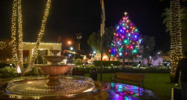 Coachella Christmas Tree Lighting