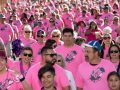 Paint El Paseo Pink Walk Set for this Saturday…