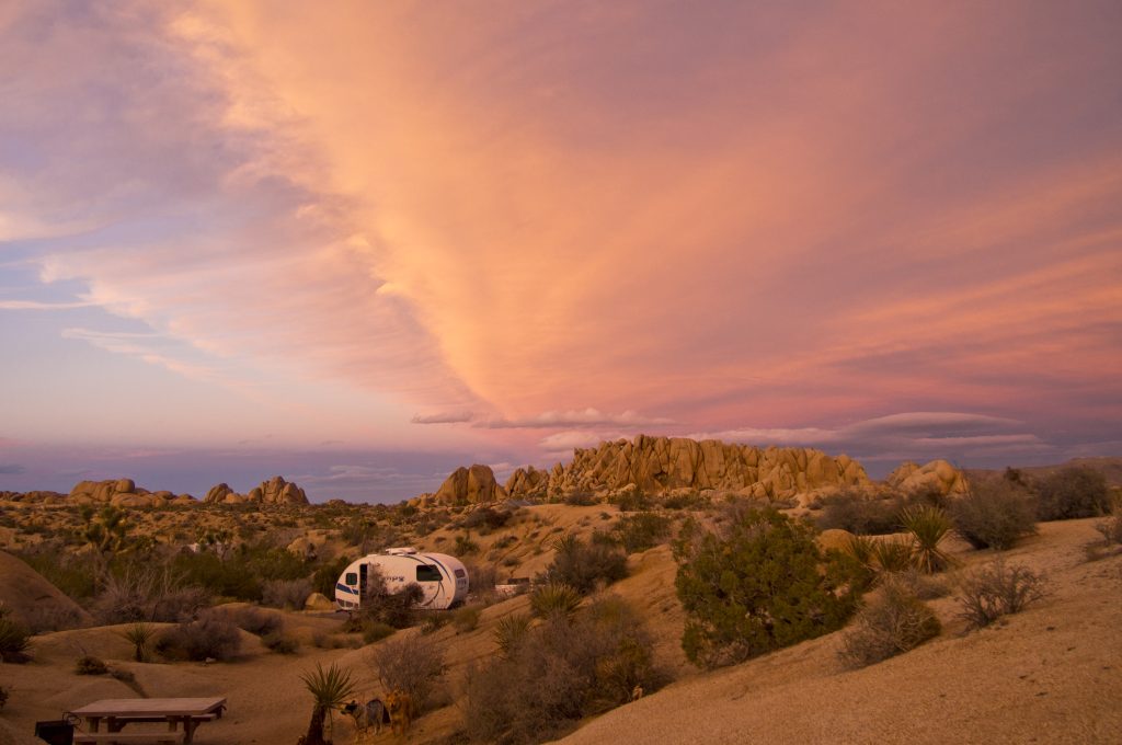 Jumbo Rocks Campsite. Photo by NPS Robb Hannawacker